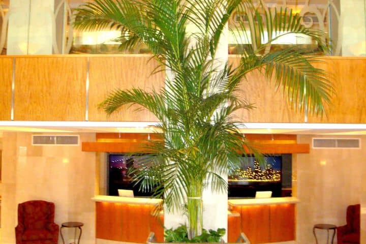 Hotel Interior 3 of 50